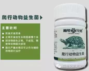 其实原因,其实所有的问题都源来于自身问题