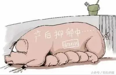 今天，我为母猪而来（中篇）