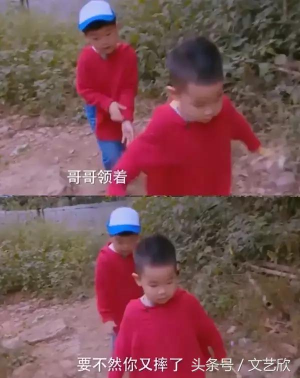 爱安吉做任务是真的吗,爱安吉是什么