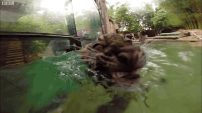 美不过三秒女神,美不过三秒原创