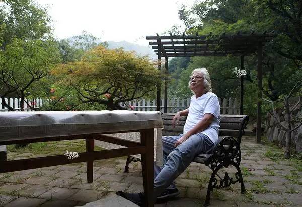 江文湛写意花鸟画荷花,江文湛花鸟画孔雀