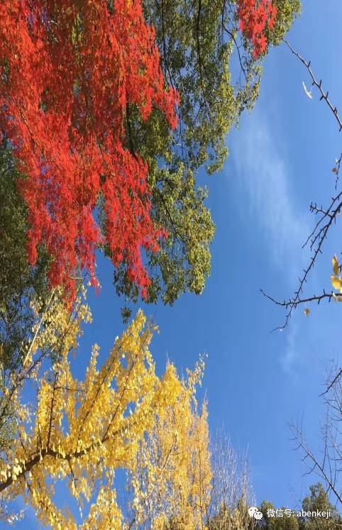 京都大阪名古屋旅游攻略,东京大阪名古屋京都自由行