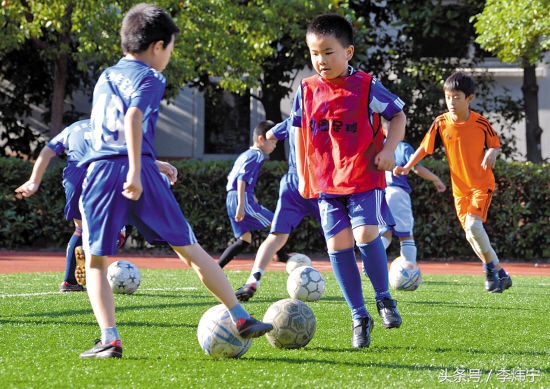 青训应该学规则还是体验乐趣,青训一定要重视体能