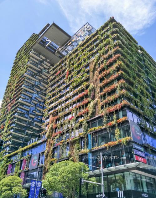 目前最好的手机是哪款oppor9s,oppor9s现在值得购买吗