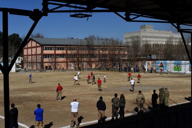 一战英德圣诞节停战,一战英德圣诞节停战庆祝