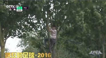 疯狂的足球搞笑片段,疯狂的足球搞笑gif图