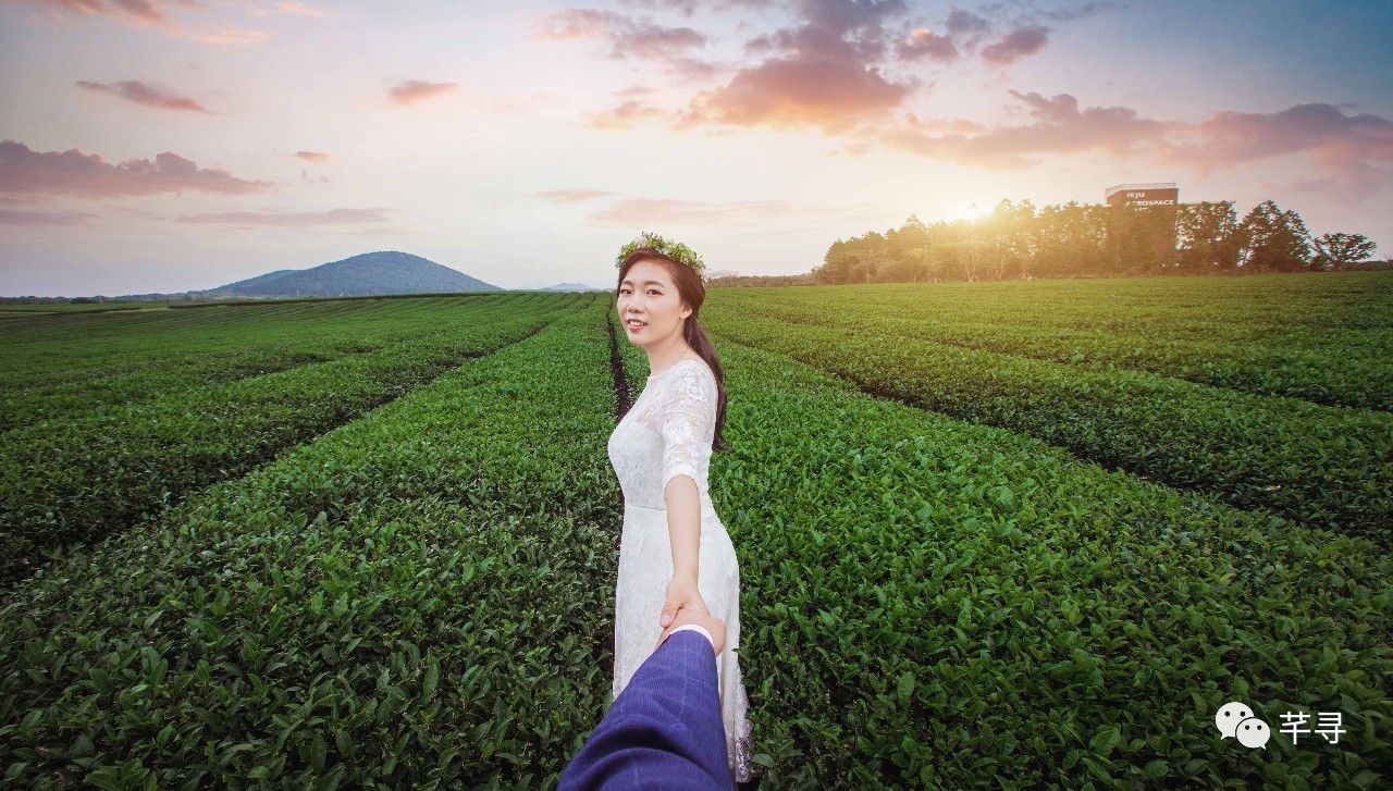 不止免签和免税店，还有各家爱豆，都在喊你去济州岛办婚礼！