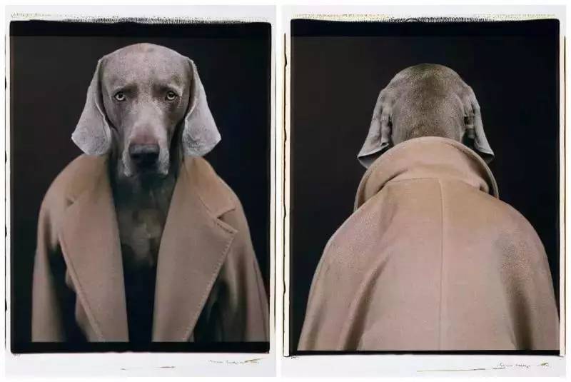 大衣店铺推荐性价比高,买哪种大衣性价比高