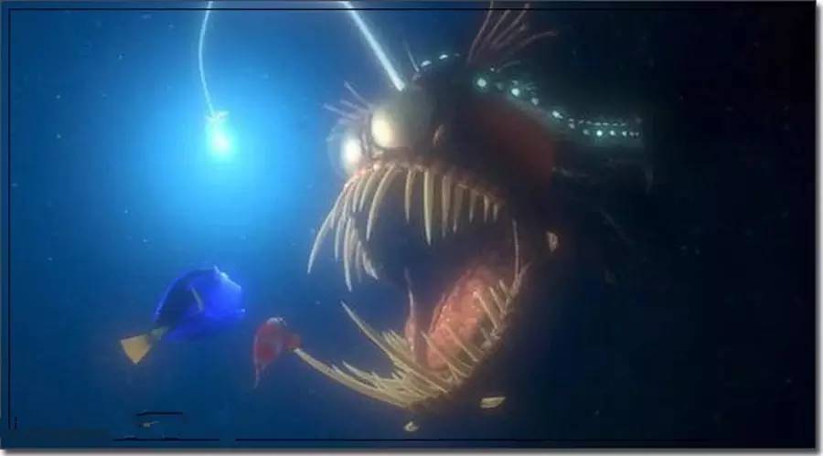 2016年至2018年妖股,年底妖股行情预测