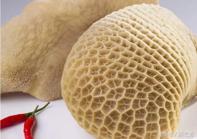 牛肚的部位分解图和吃法,牛肚养胃的做法