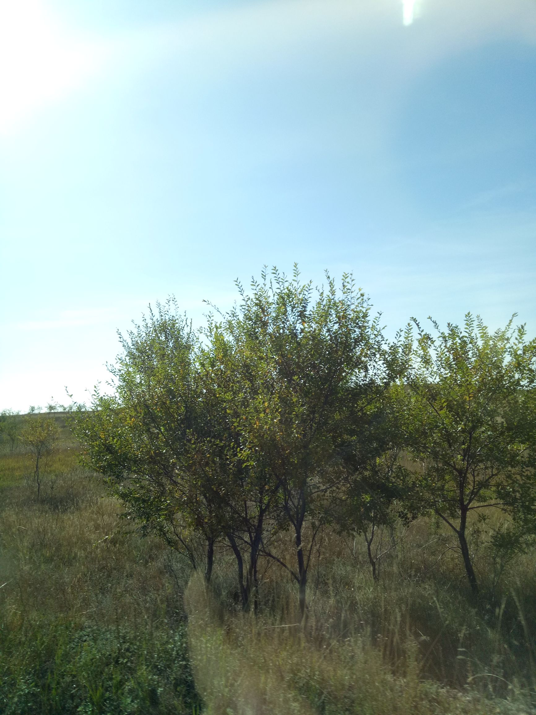 张北的草原天路之旅,张北天路攻略