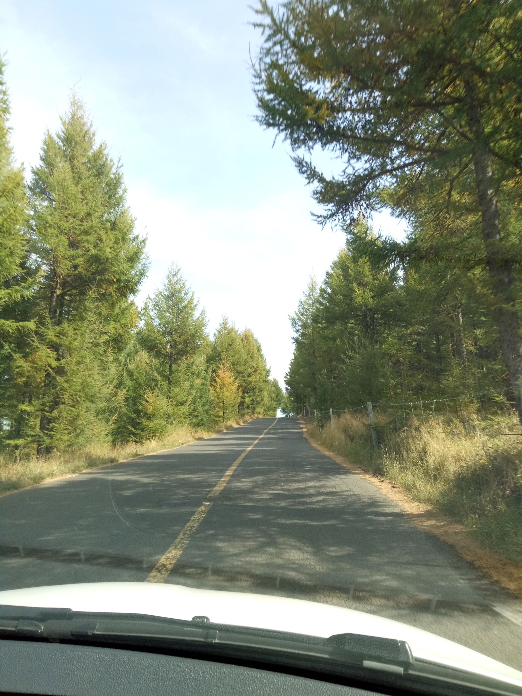 张北的草原天路之旅,张北天路攻略