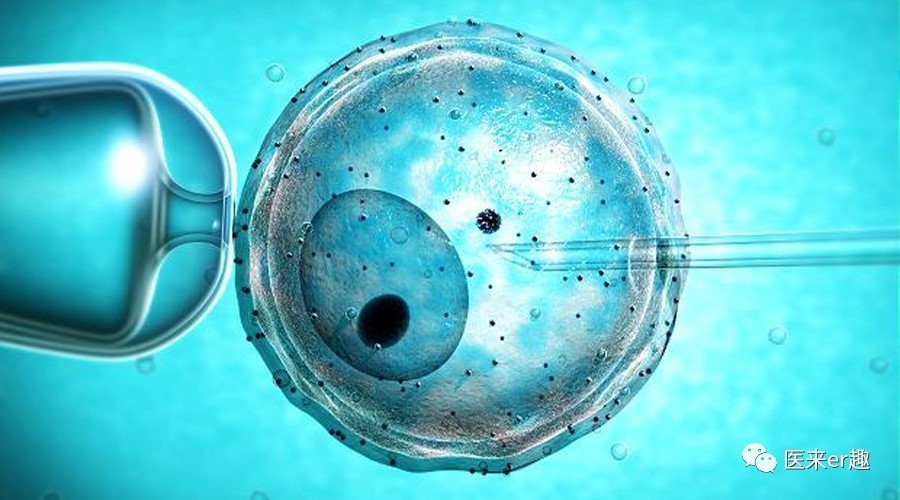 做试管只有一个卵要再次促排吗,做试管只取了一个卵