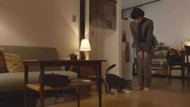 工作迷茫感情不顺,工作感情都不顺焦虑