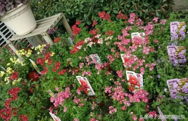 年货哪家靠谱呢,中国年货批发市场前十名