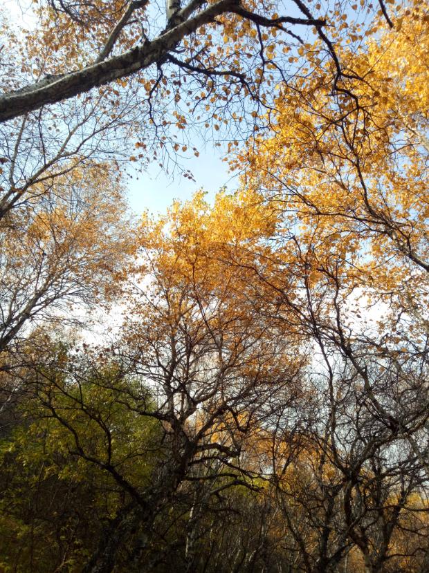 张北的草原天路之旅,张北天路攻略