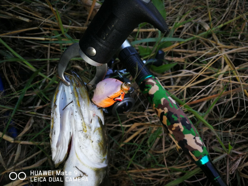 路亚新春出钓视频,路亚钓鱼爆竿搞笑合集