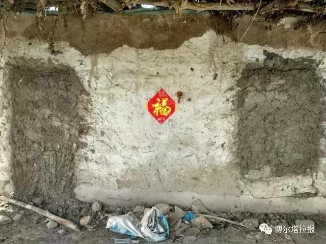 影像记忆资料,影像记忆与群体历史