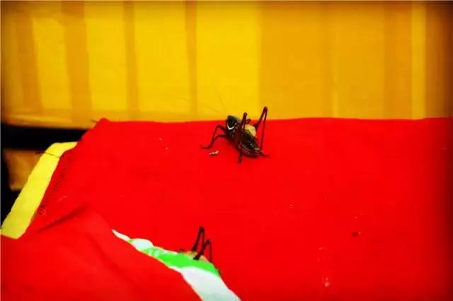 天津淘宝街搬哪去了,天津淘宝街地址有哪些