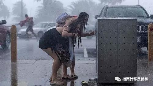 代购车厘子,代购心酸历程