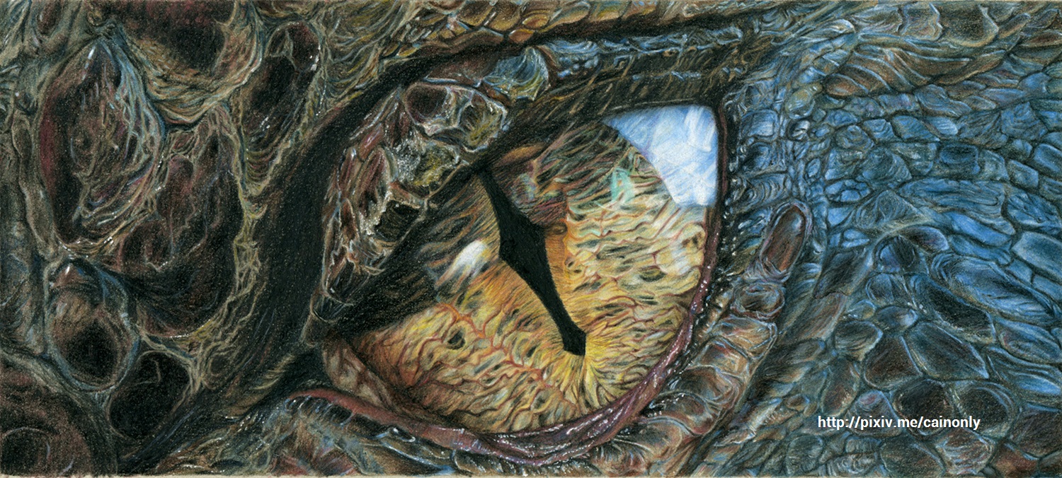 由简到繁绘画教程,由繁到简绘画四幅图