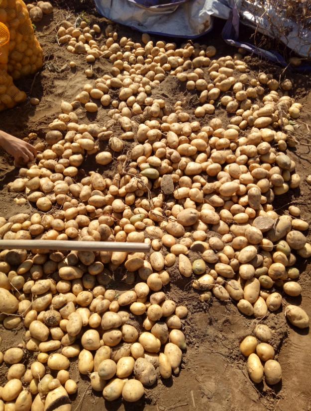 张北的草原天路之旅,张北天路攻略