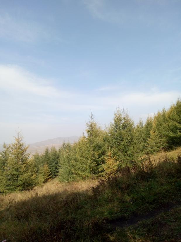 张北的草原天路之旅,张北天路攻略