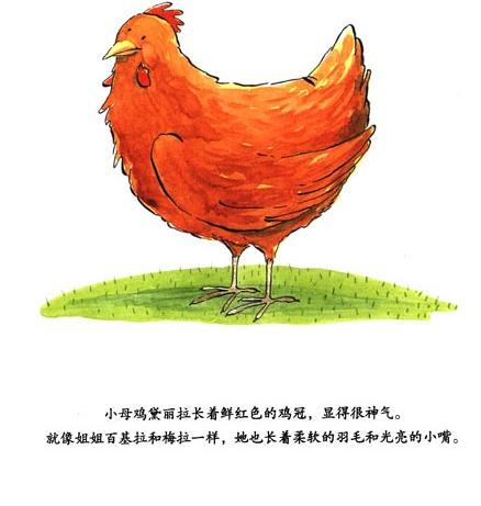 鸡绘本,关于母鸡的绘本推荐