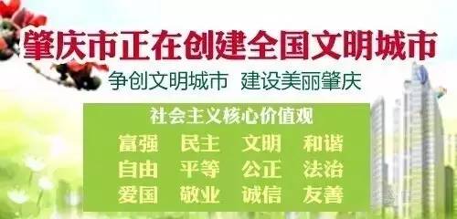 他家的木板堪称“钢板”？你们相信吗？
