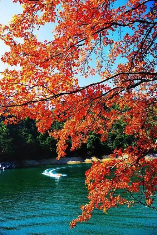 元旦跨年广州去哪玩免费,元旦去哪儿玩广州附近