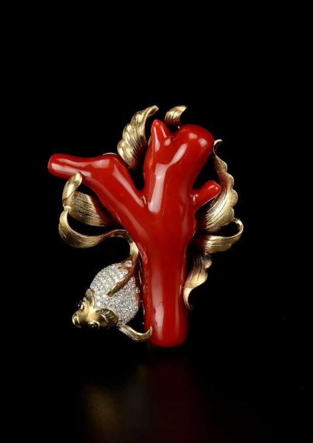 台湾红珊瑚哪里的好,台湾红珊瑚有升值空间吗