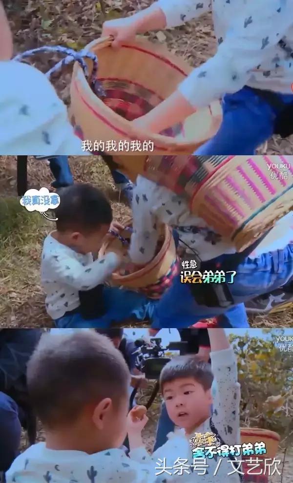 爱安吉做任务是真的吗,爱安吉是什么