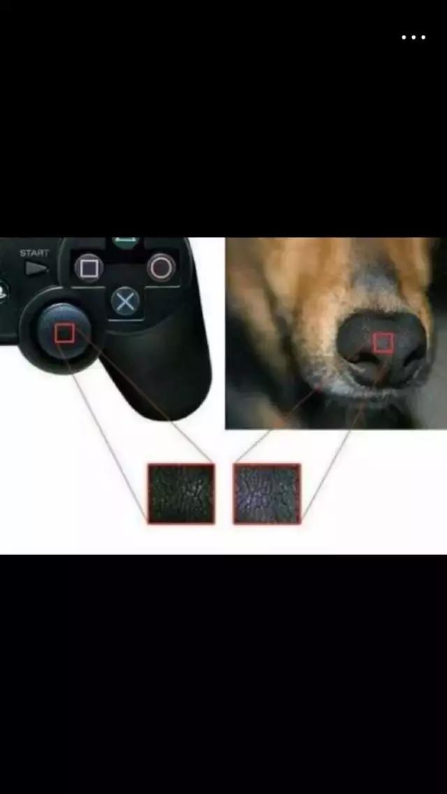 如果你发现你女朋友不是处女怎么办？