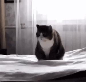 美不过三秒女神,美不过三秒原创