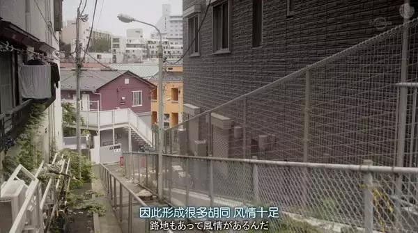 工作迷茫感情不顺,工作感情都不顺焦虑