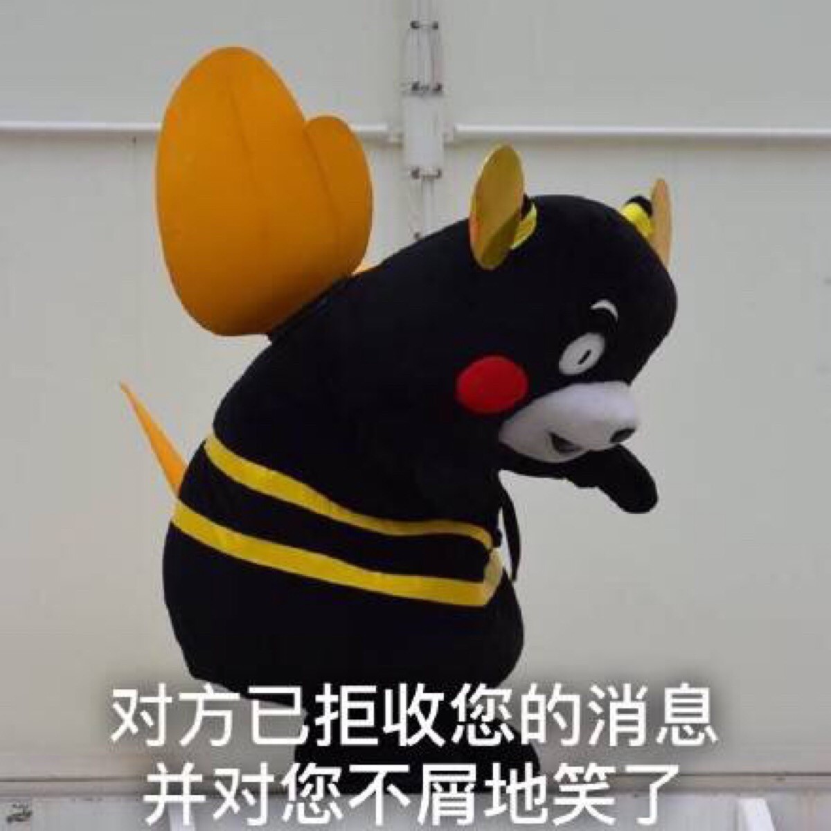 大学生的必备表情包,大学生最爱发的表情包