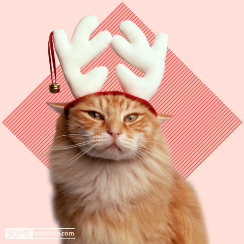 圣诞主题party,11个你意想不到的创意