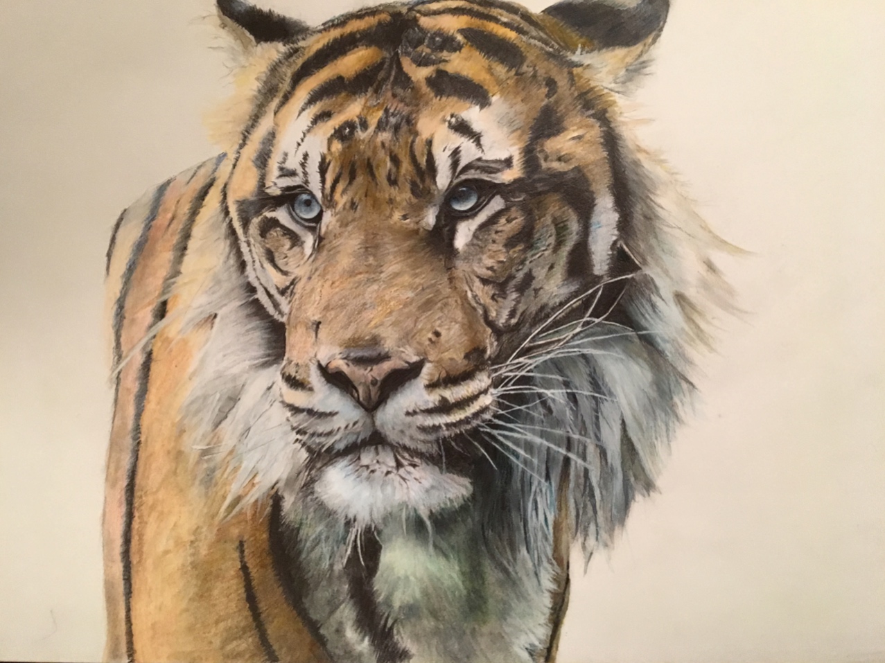 由简到繁绘画教程,由繁到简绘画四幅图