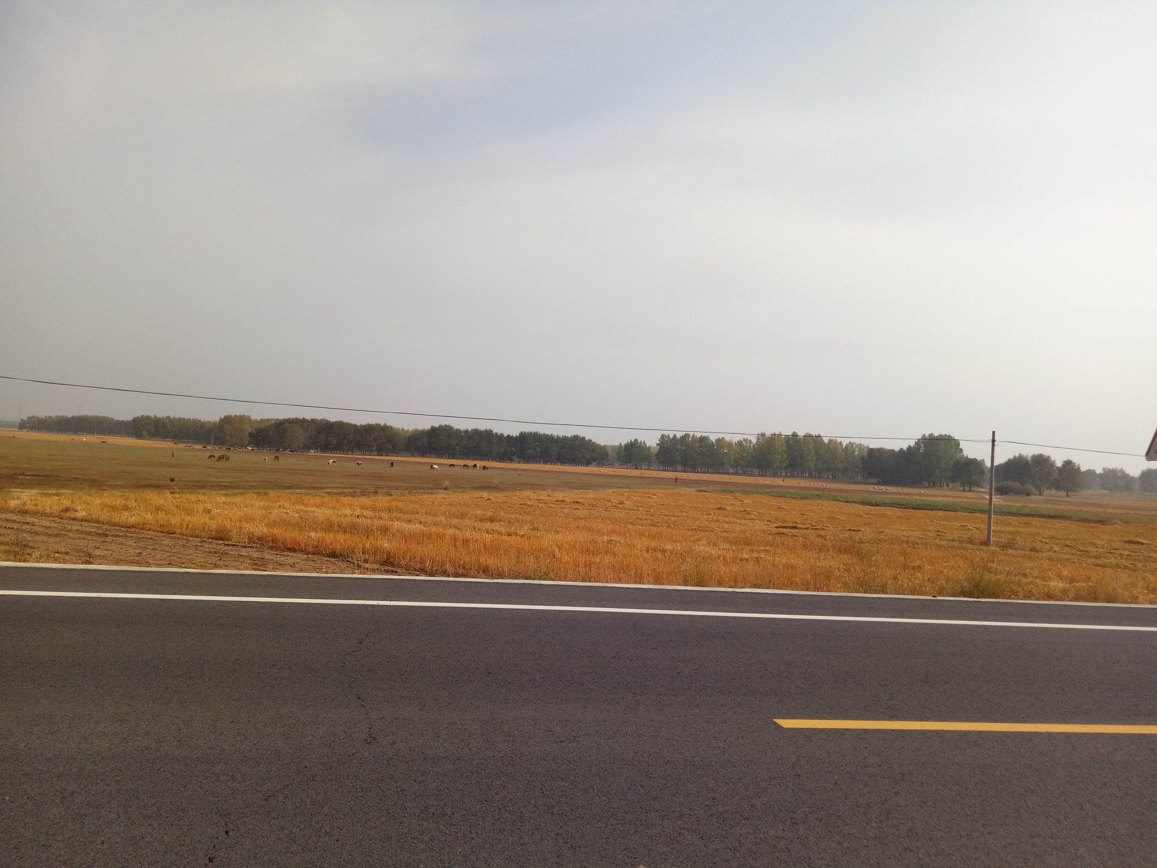 张北的草原天路之旅,张北天路攻略