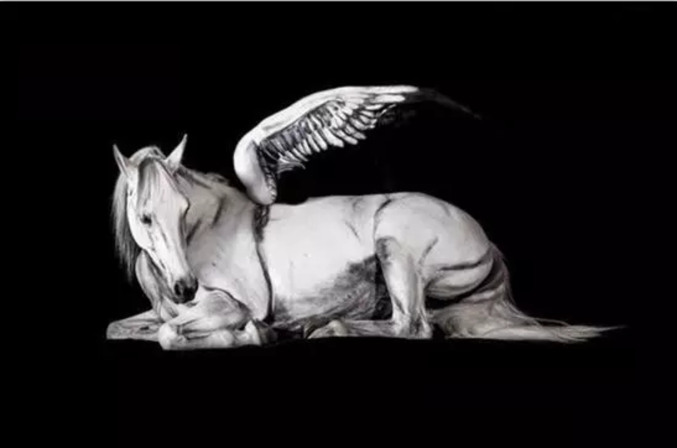 这些赤裸裸的人究竟是为何这样呢？这肤色，这花纹