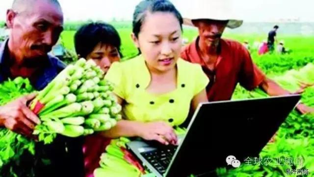 互联网+农业的3种平台、农资电商5大案例、农产品电商3大案例