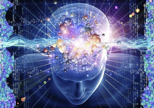 互联网门店打造,互联网实体门店项目