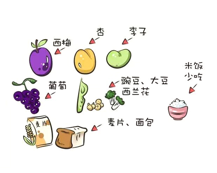 消化不好便秘吃什么食物可以调理,便秘要吃的十种食物彻底清除便秘