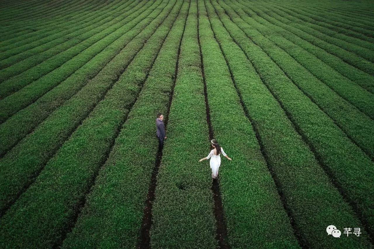 不止免签和免税店，还有各家爱豆，都在喊你去济州岛办婚礼！