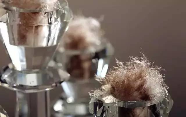 网购羽绒服不合格,劣质羽绒服测评