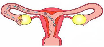 女人怀不上孕的原因有哪些,女人胖为什么怀不上孕