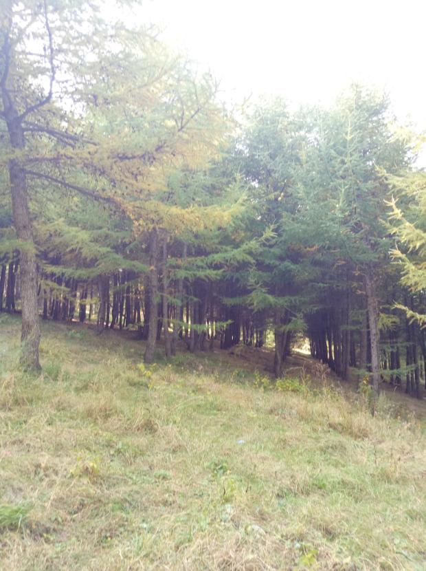 张北的草原天路之旅,张北天路攻略