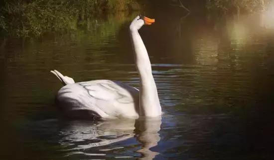 这些赤裸裸的人究竟是为何这样呢？这肤色，这花纹