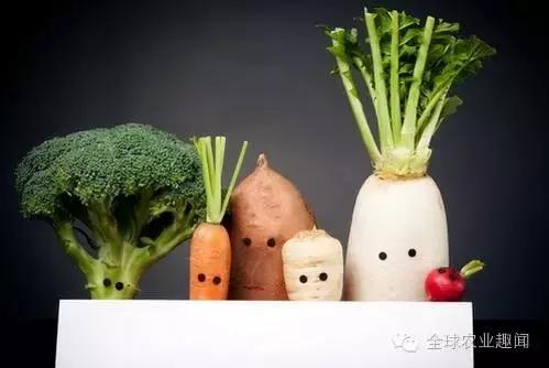 互联网+农业的3种平台、农资电商5大案例、农产品电商3大案例