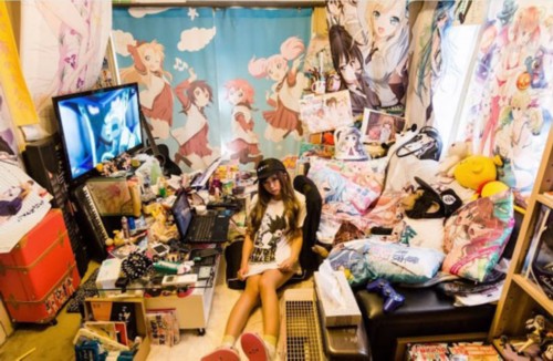 国服歌姬计划,歌姬计划发展史